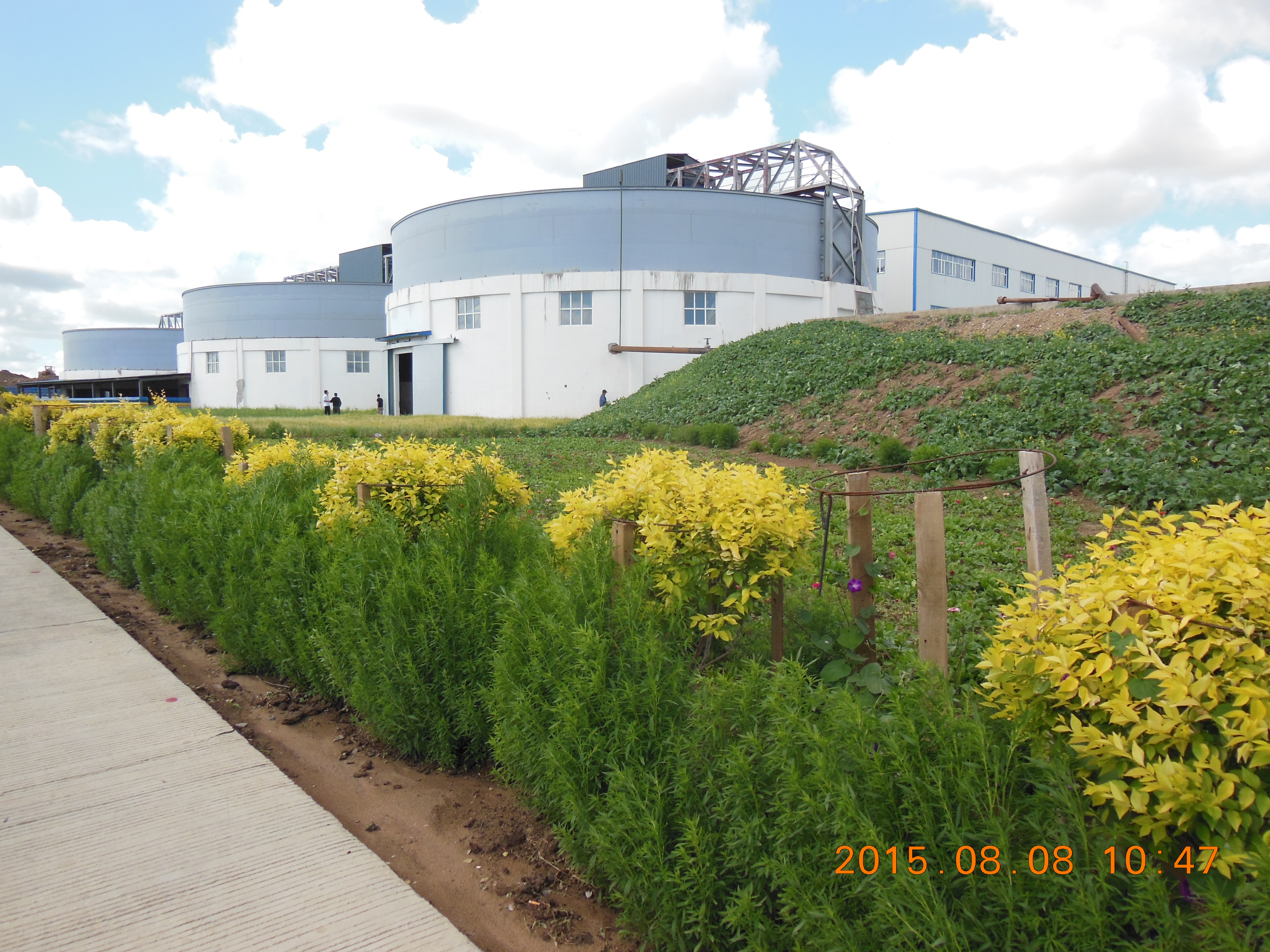 ��ɫ�ǿ�ɽ�������������ɡ���ʢ���ҵ��ɫЭ���� 