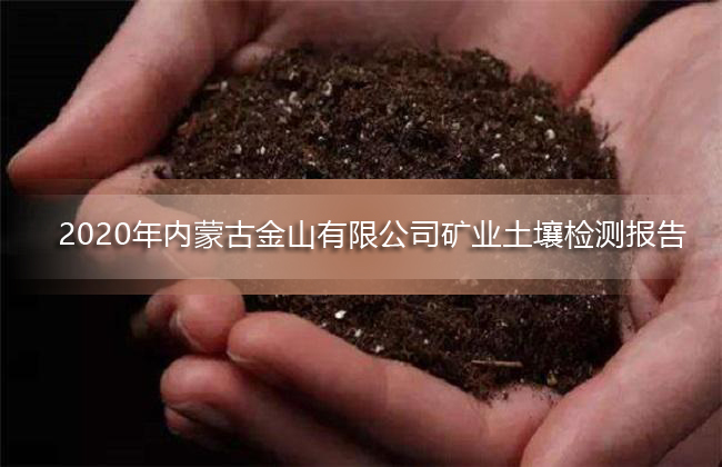 2020�����ɹŽ�ɽ���޹�˾��ҵ������ⱨ��