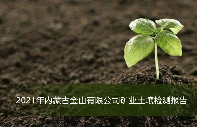 2021��Ƚ�ɽ��ҵ������ⱨ��