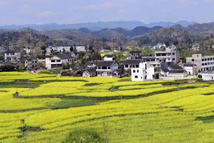 ����ʡ��Ȼ��Դ����̨�²��� ����ʢ����Դ������Ǧп�󿪷�����